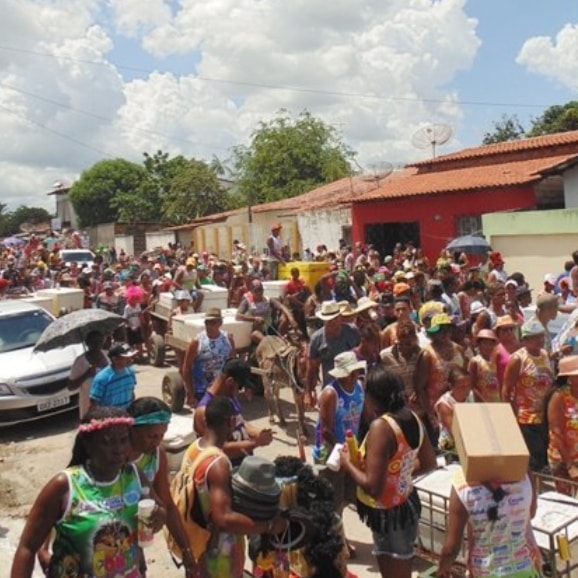 Em Pindaré MP chama à atenção das secretarias de Cultura e Meio Ambiente, dos blocos de carnaval e da Associação dos Carroceiros sobre maus-tratos a animais 