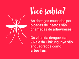 Maranhão segue entre os estados que apresentam alta em casos de Dengue