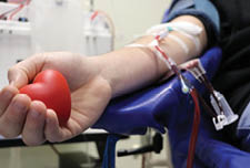 Dia Mundial do Doador de Sangue foi celebrado na sexta-feira (14)